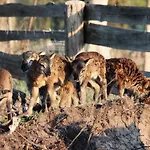 Εξοχικό σπίτι Landgasthof Zur Wildbahn