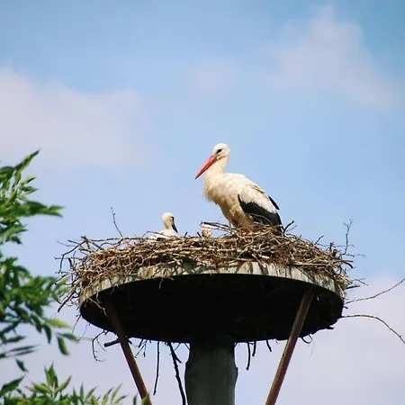 Landgasthof Zur Wildbahn * Burg (Spreewald)