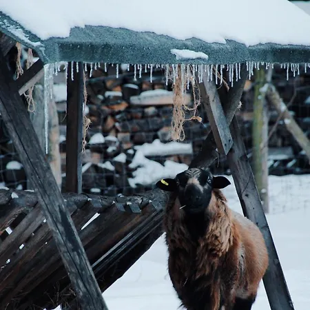 Landgasthof Zur Wildbahn *