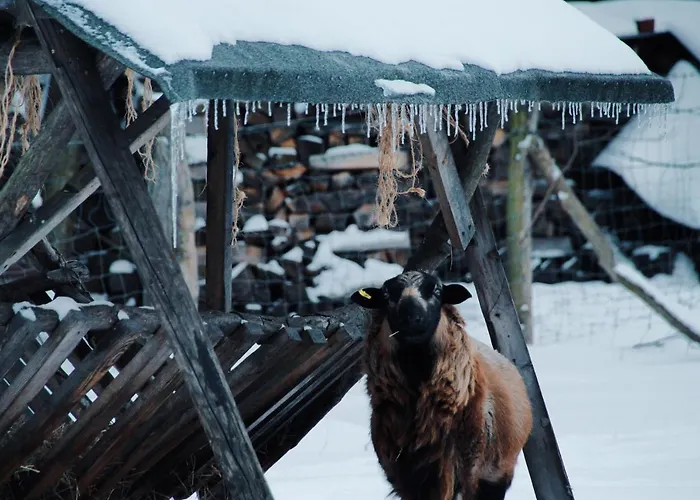 Landgasthof Zur Wildbahn *
